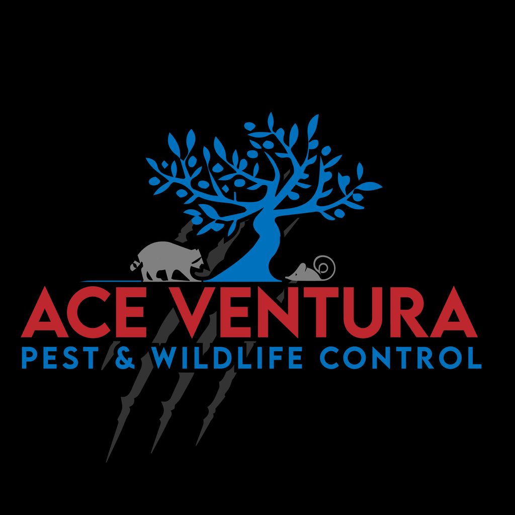 Ace Ventura Pest & Wildlife Control