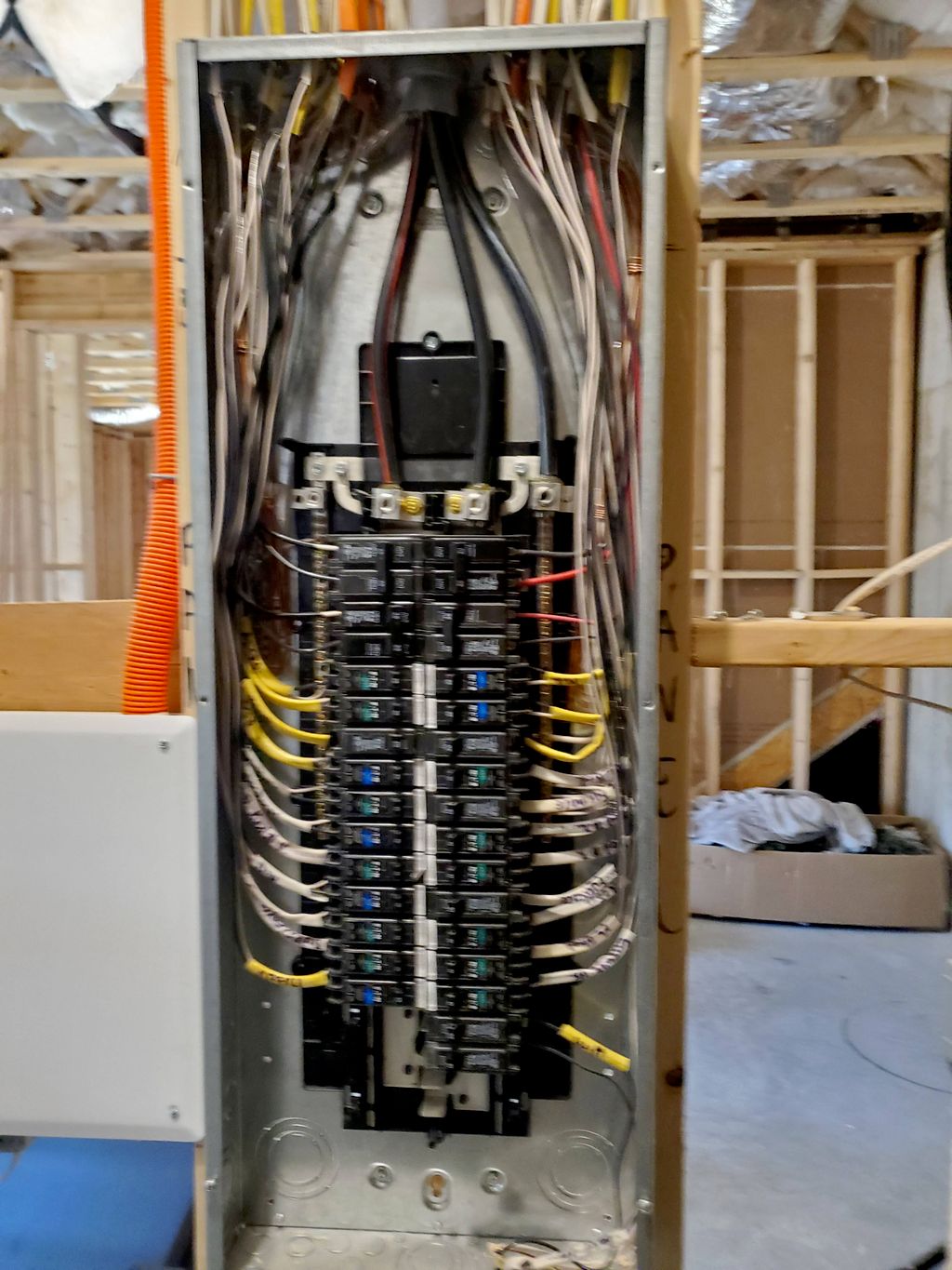 Projects and media