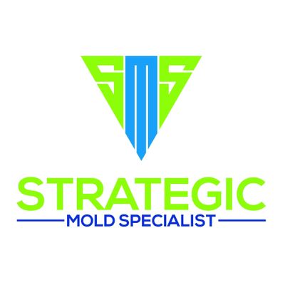 Avatar for Strategic Mold Specialist
