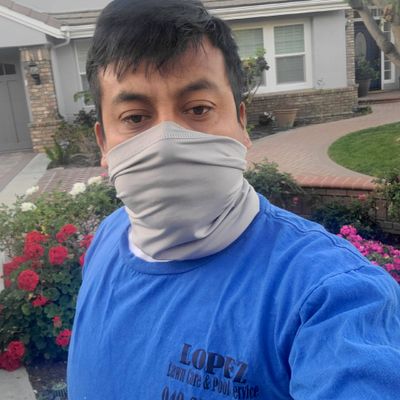 Avatar for Lopez Lawn Care And Pool Service