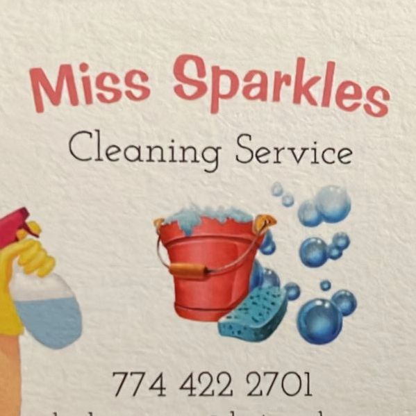 Miss Sparkle cleaning