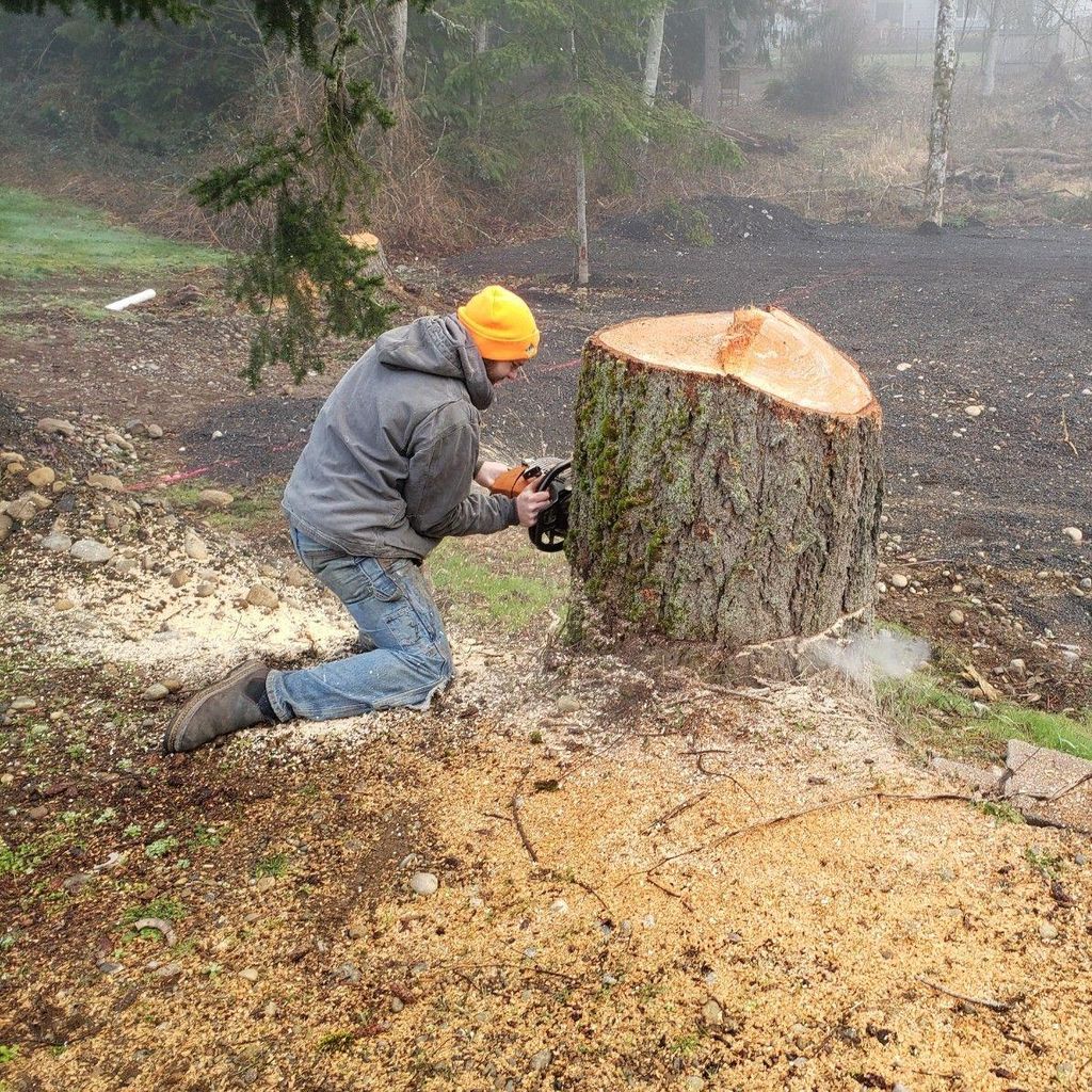 Down To The Roots LLC