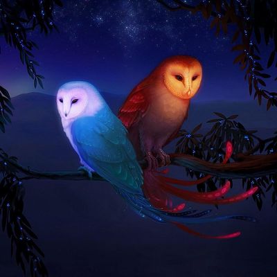 Avatar for Enchanted Pathways