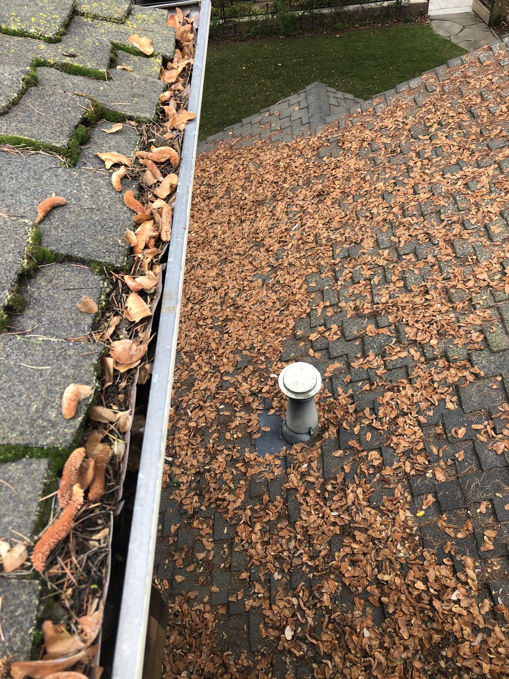 Gutter Cleaning and Maintenance