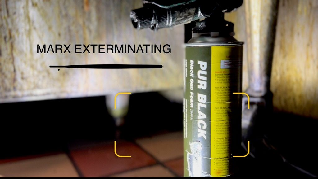 Rodent proofing commercial & residential BKLYN BX 