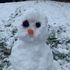 pro avatar