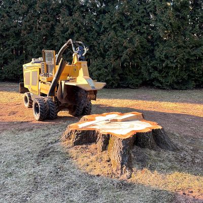 Avatar for Scott’s Stump Grinding LLC