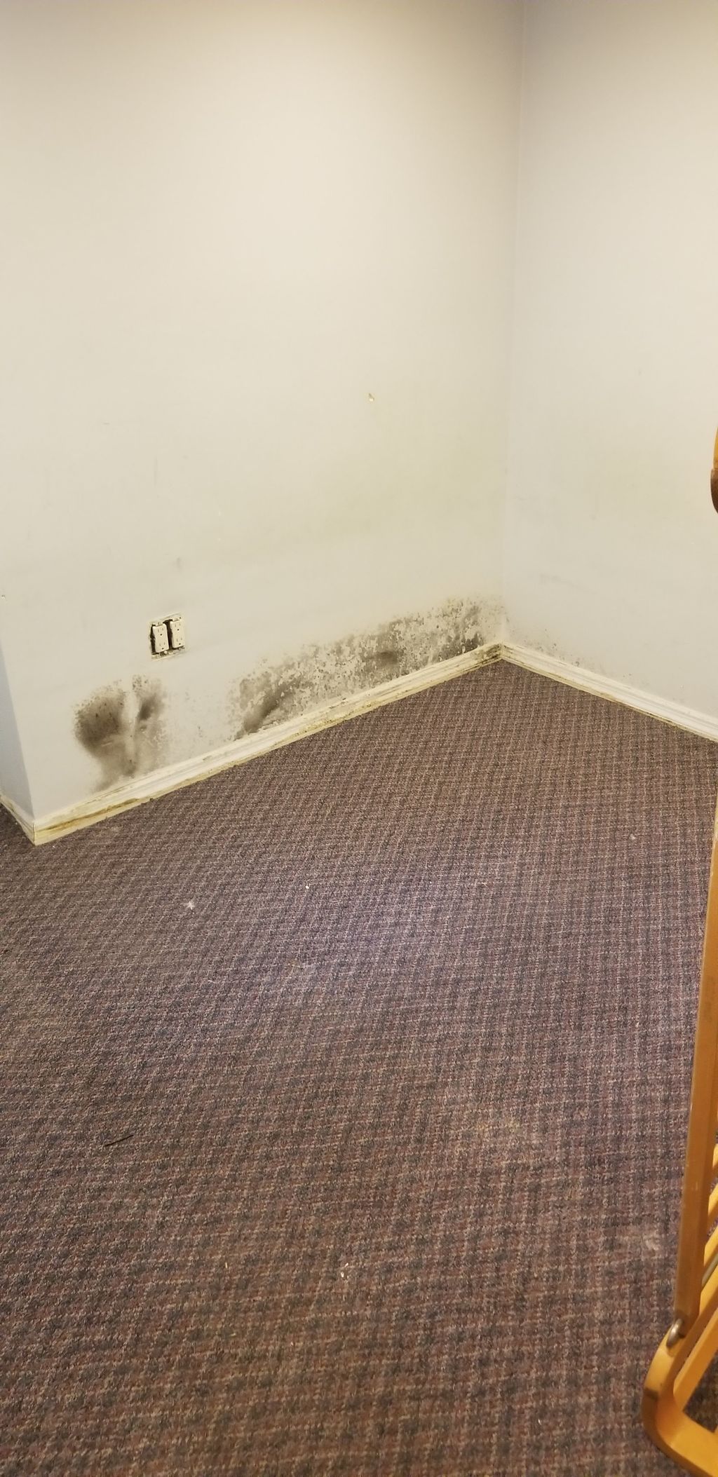 Water Damage Cleanup and Restoration