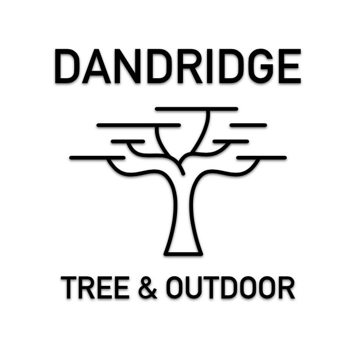 Dandridge Tree & Outdoor LLC