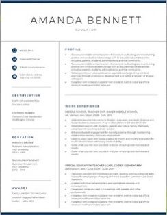 These pictures are sample templates of resume styl