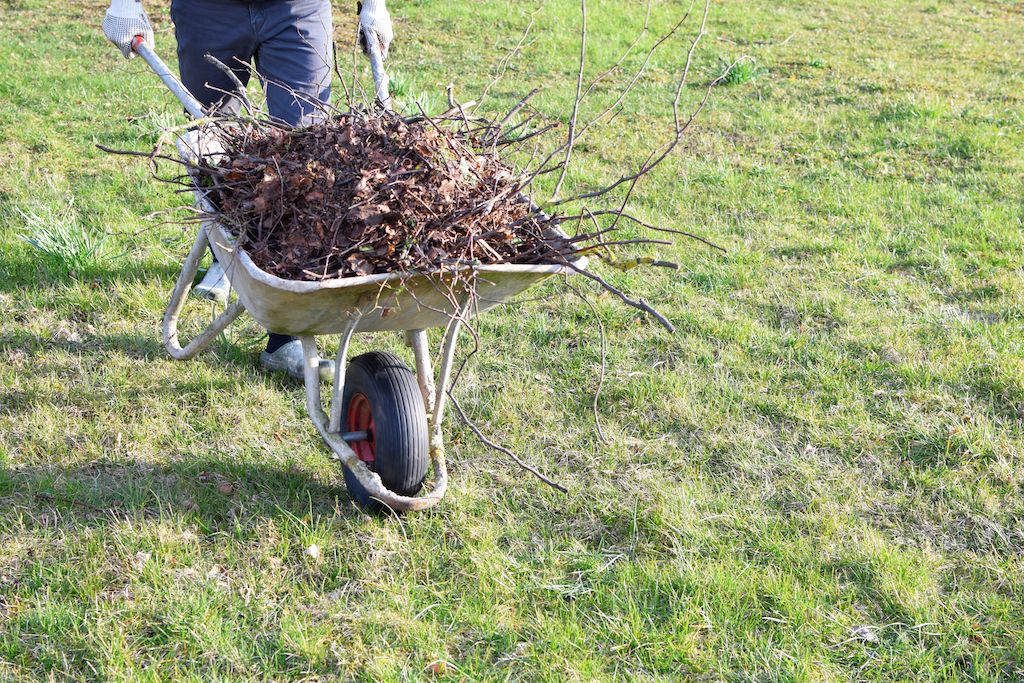 spring lawn clean up