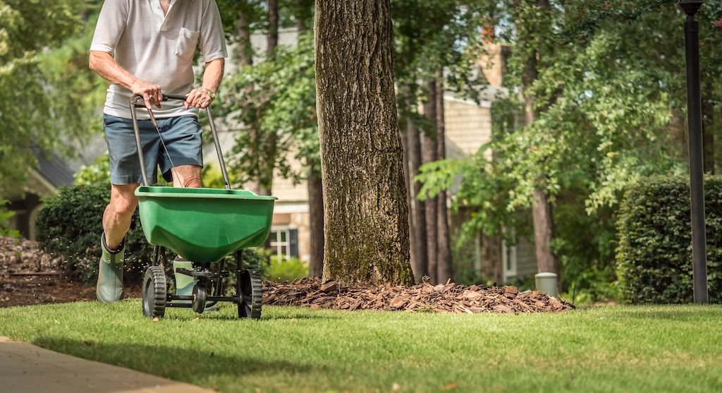 spring lawn care tips fertilizing