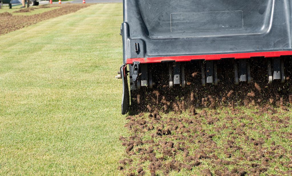 spring lawn care aeration