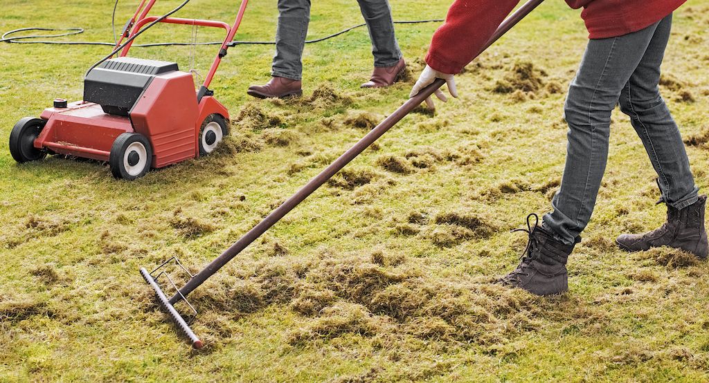 spring lawn care dethatching