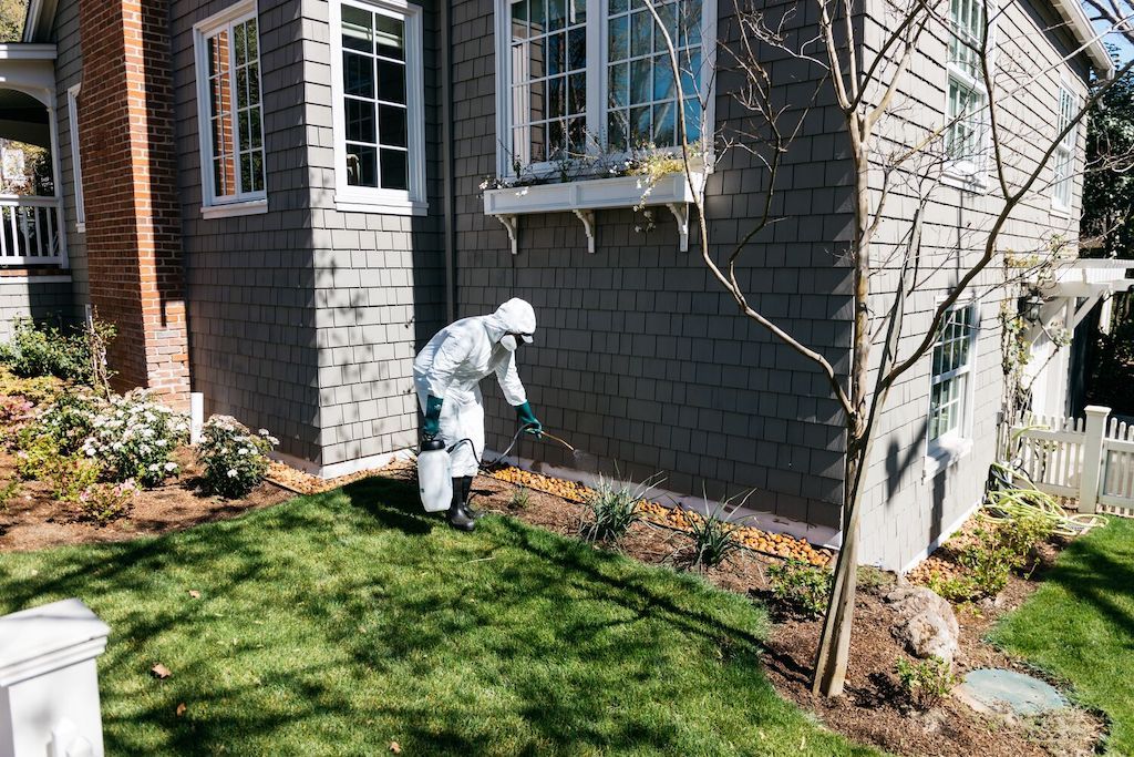 spring pest control outdoors