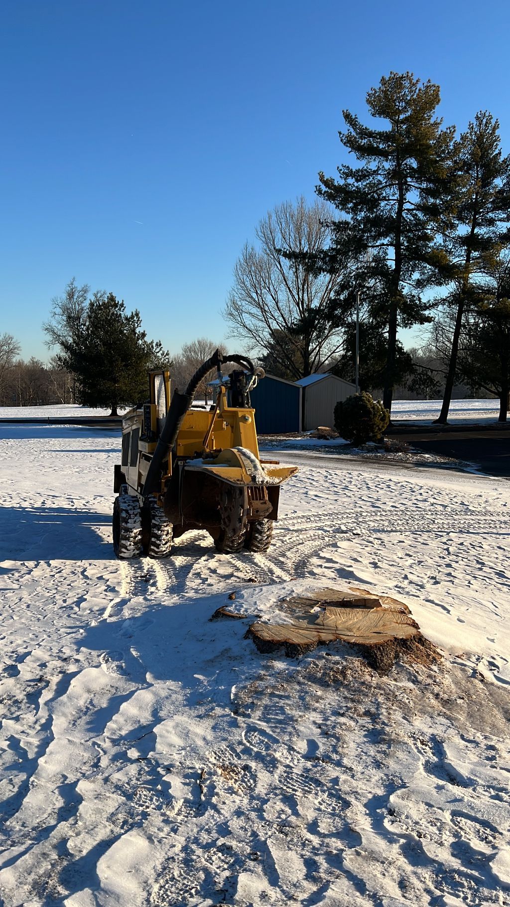 Tree Stump Grinding and Removal