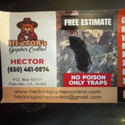The 10 Best Dead Animal Removal Services Near Me