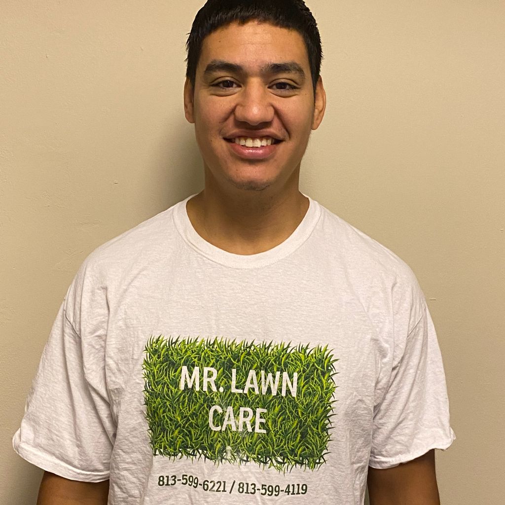 Mr Lawn Care