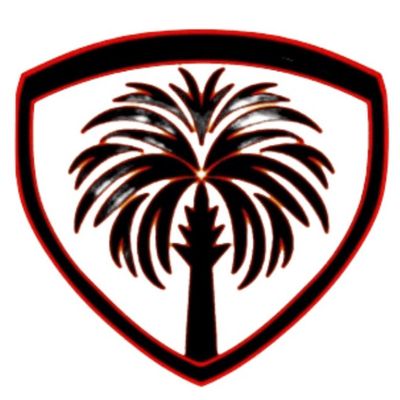 Avatar for Palmetto Protective Services