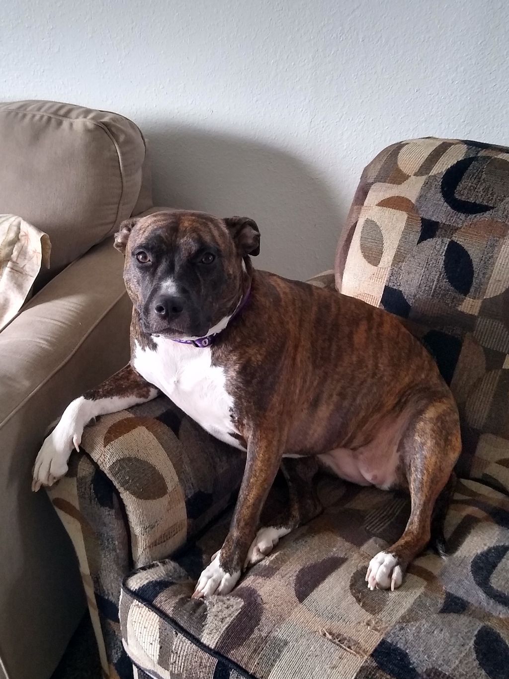 Feeling like the king of the house.