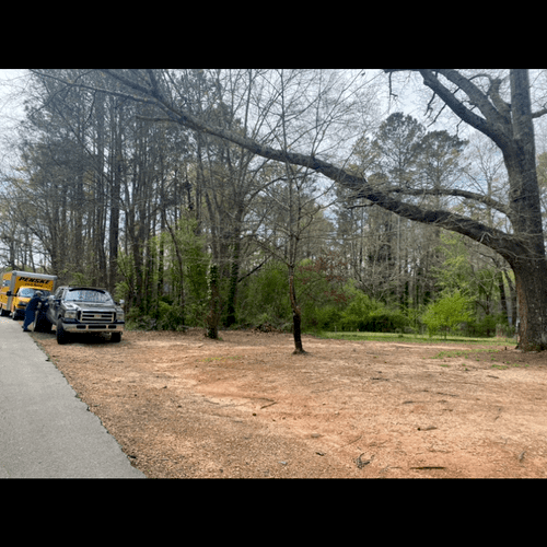 Tree Squad Removal Llc Tampa, FL Thumbtack