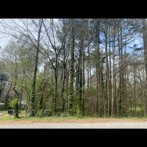 Tree Squad Removal Llc Tampa, FL Thumbtack