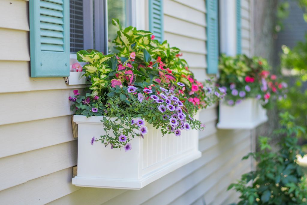 window flower box spring