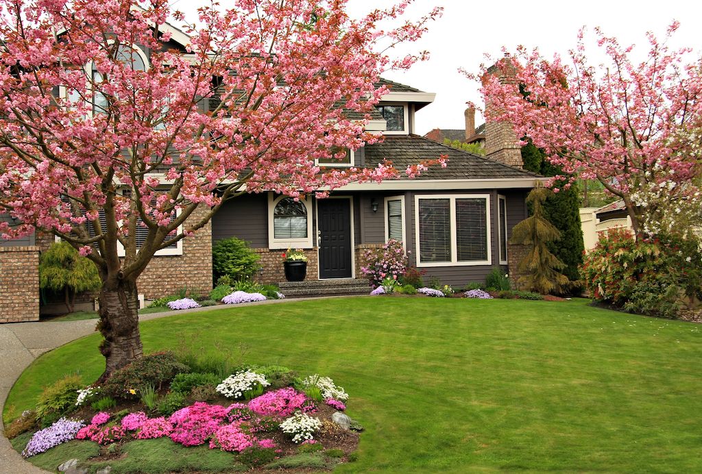 tree trimming in front of house