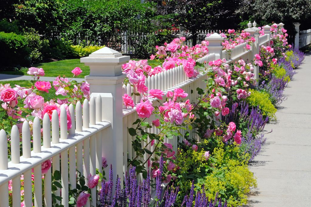 fence summer maintenance