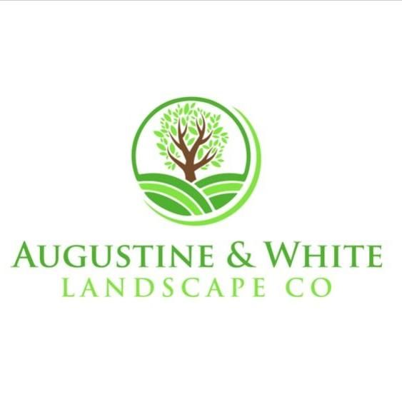 Augustine & White Landscape