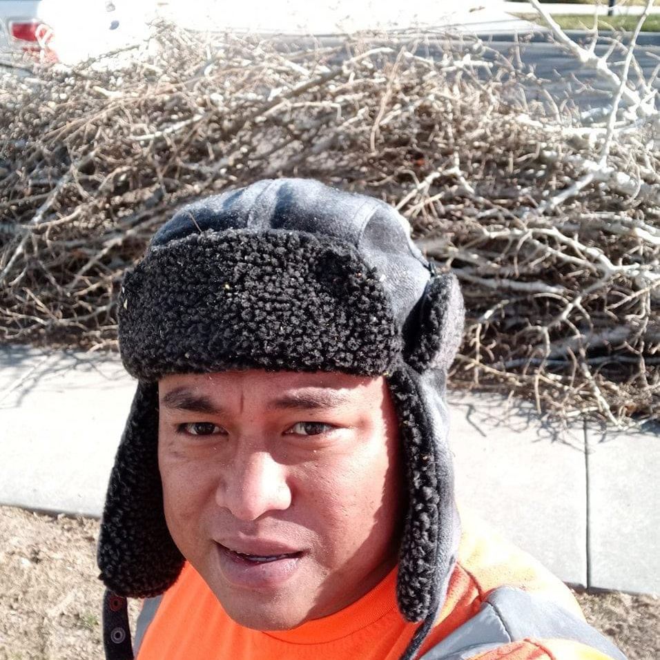SEVEN STARS TREE SERVICES &LANDSCAPING LLC