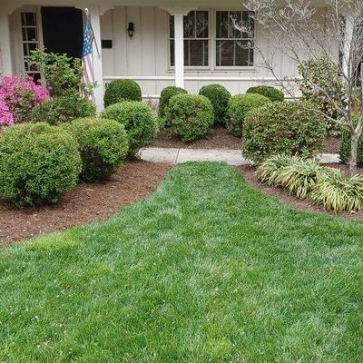 Avatar for Stroupes Lawn Care & More
