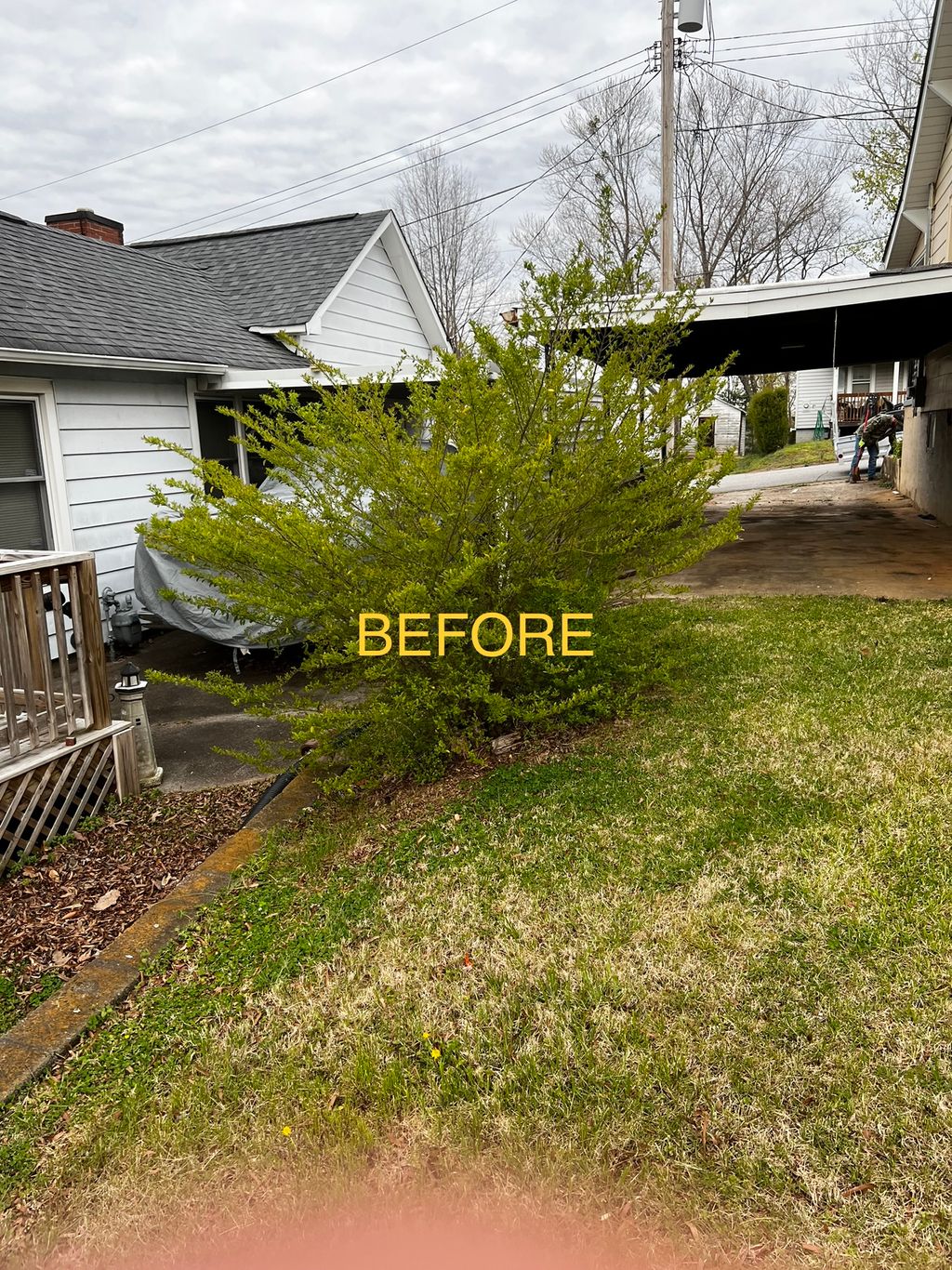 Lawn Mowing and Trimming