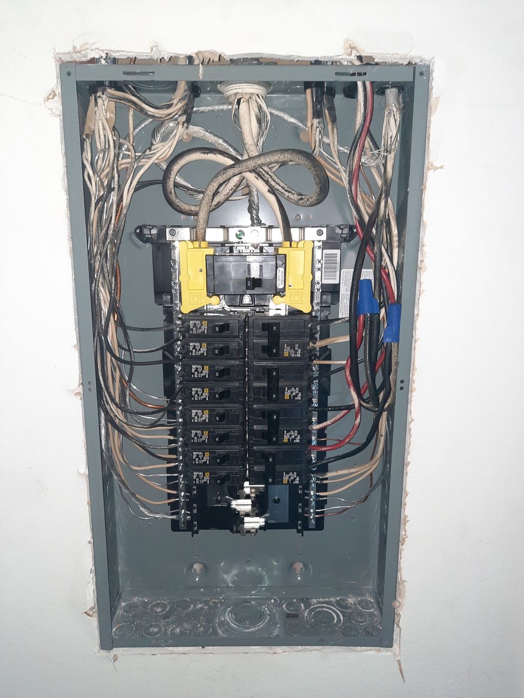 Projects and media