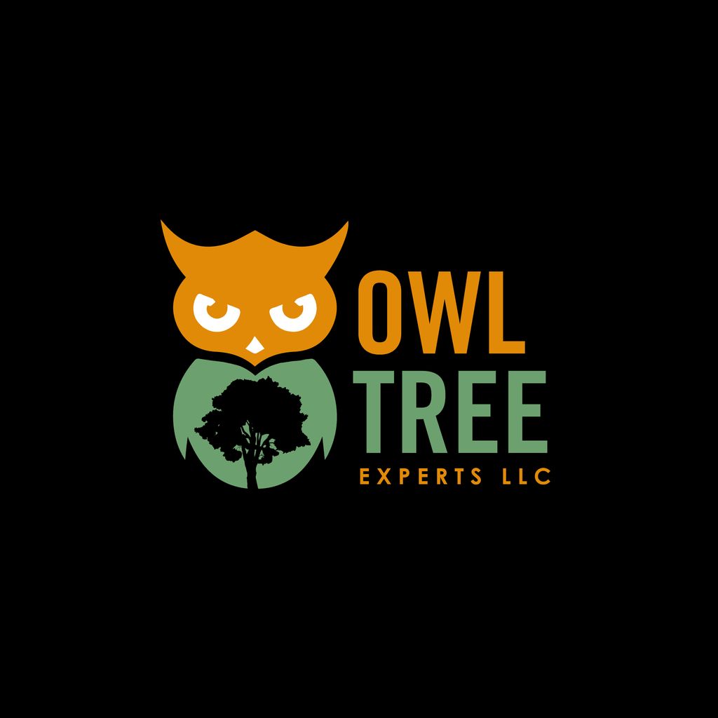 Owl Tree Experts