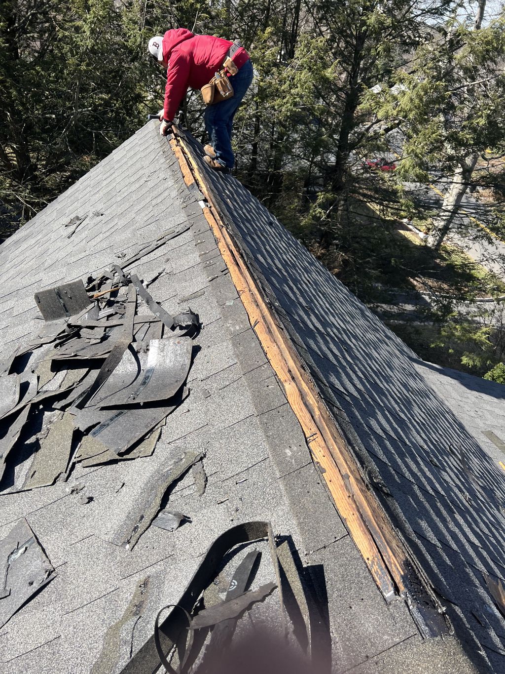 Roof Repair or Maintenance