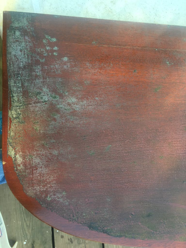 This is the number 10 reference when I picked up t