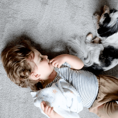 Pet & Kid Friendly Carpet Options :) 