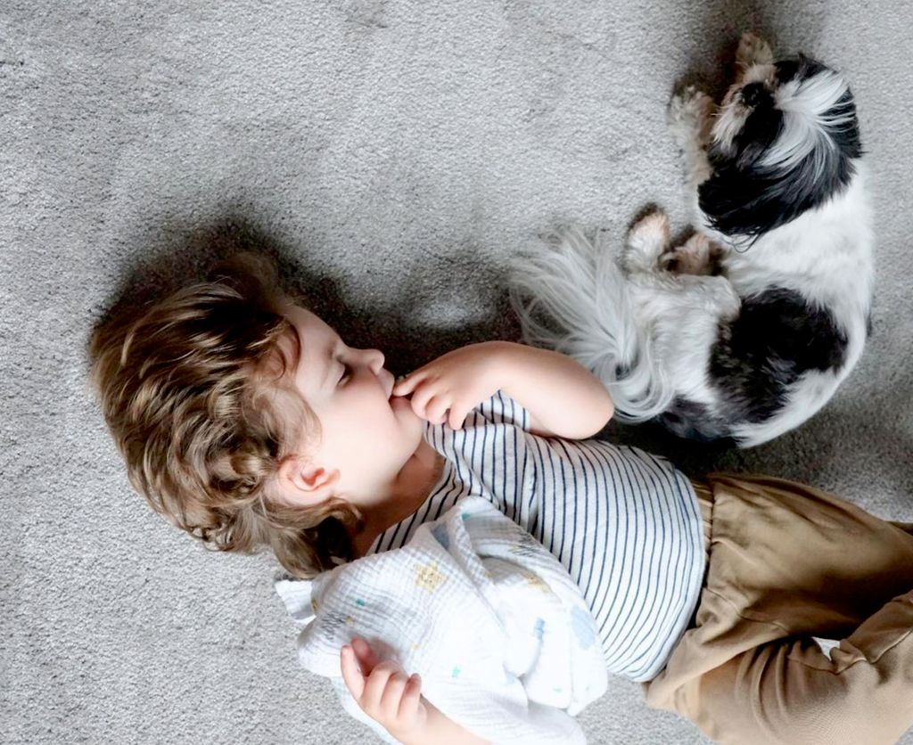 Pet & Kid Friendly Carpet Options :) 