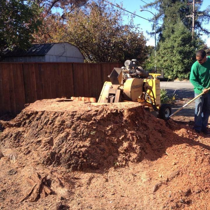 Next Level Stump Grinding