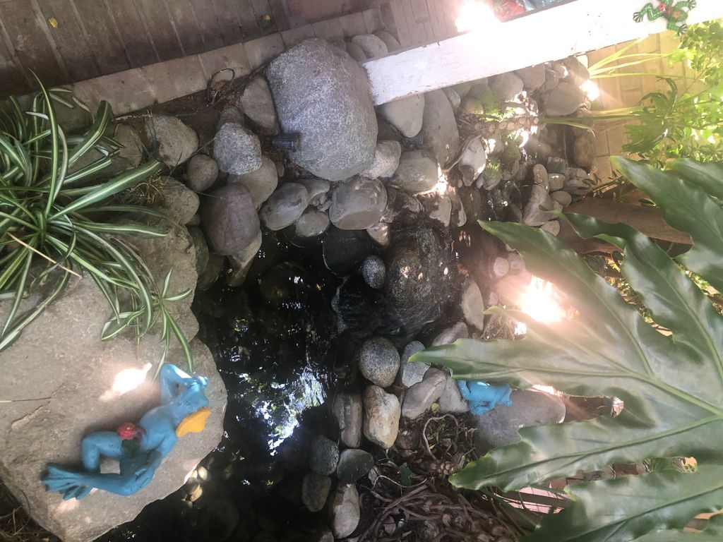 Customer photos