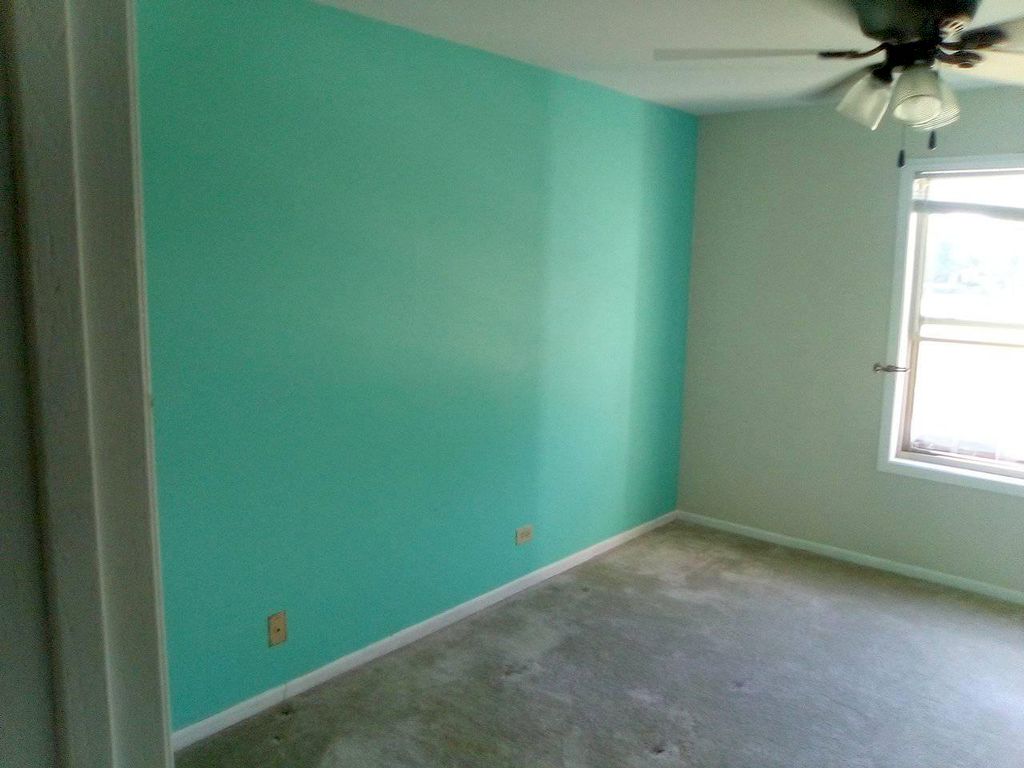 Customer liked Teal and wanted a teal accent wall 