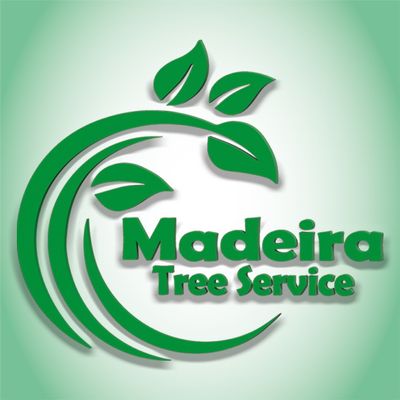 Avatar for Madeira Tree Service