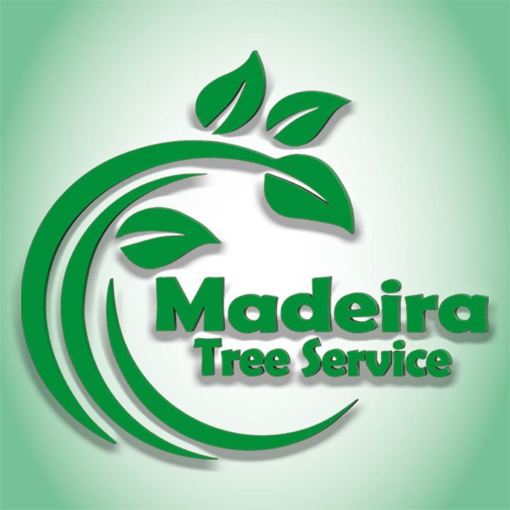 Madeira Tree Service