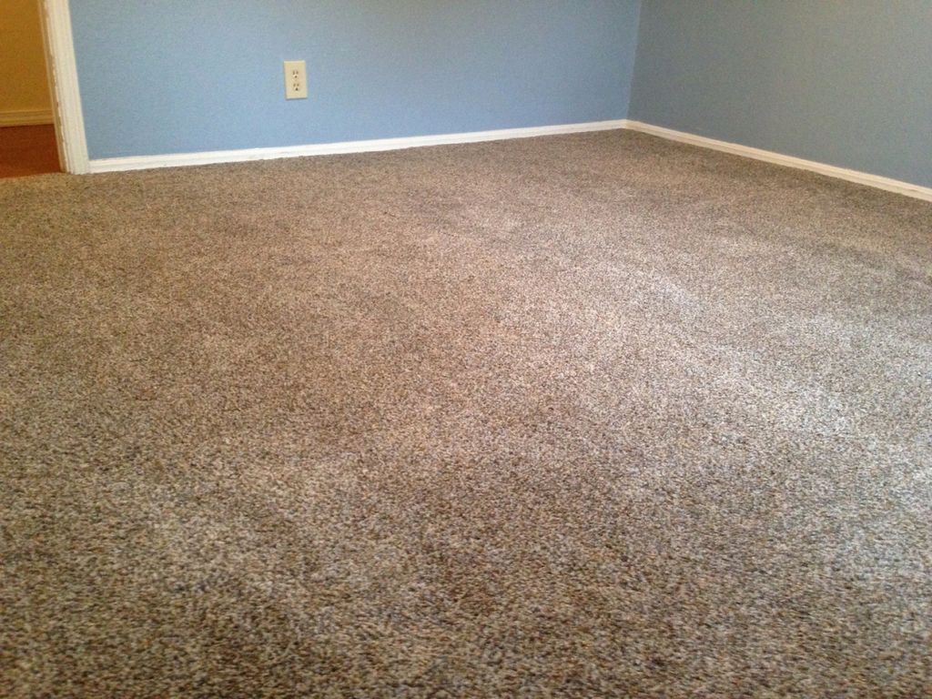 Love my new carpet! Eddie was very professional an