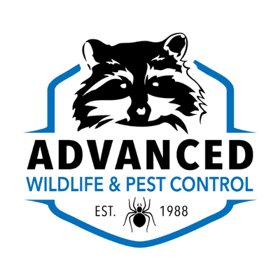 Avatar for Advanced Wildlife and Pest Control