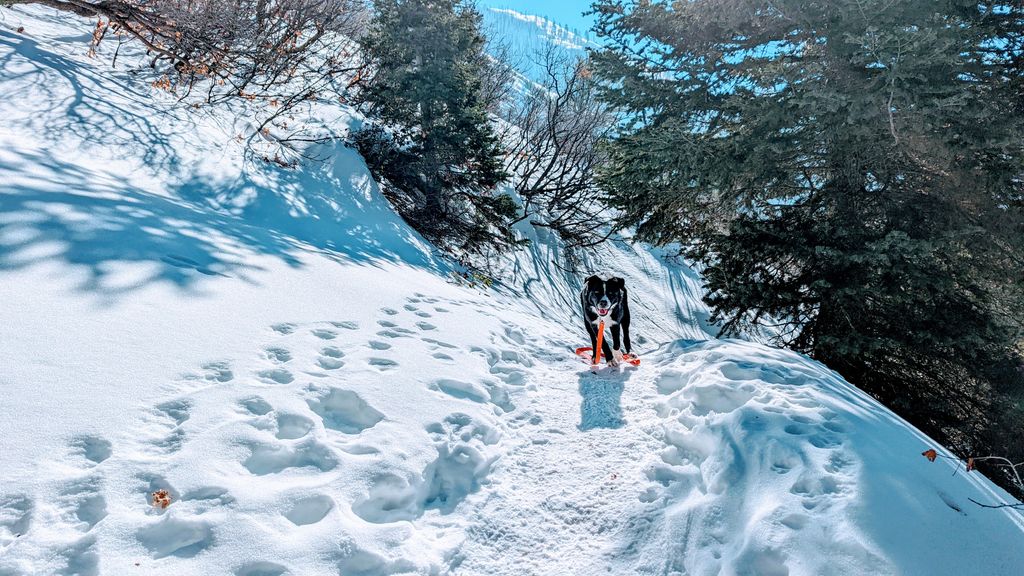 Playing in the mountains of Utah