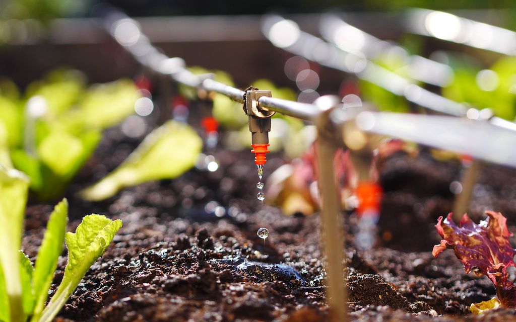 drip irrigation system cost