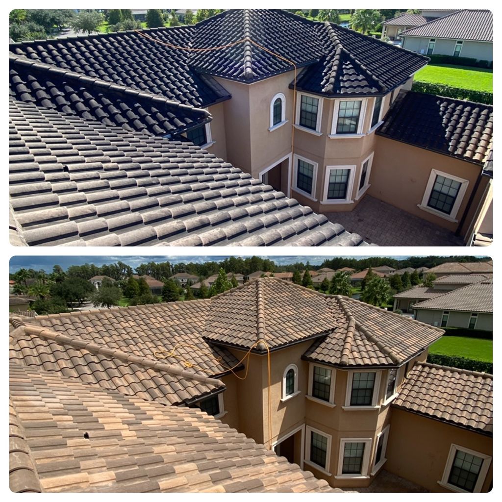 Roof Cleaning