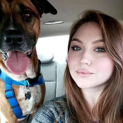 Avatar for Chelsea Miller Pet Sitting and Dog Walking